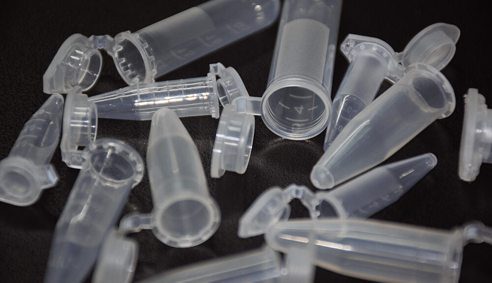 Bienvenido a Biograma SRL