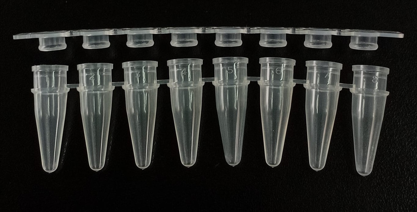 185TYA14 - PCR de 0.2 en TIRAS DE 8 tubos + tiras de 8 tapas-image