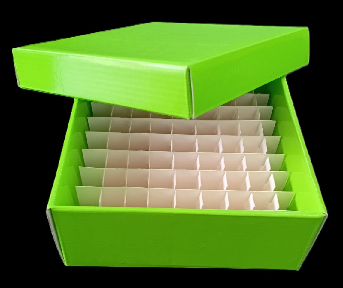 2850205 - Cajas de congelación en cartón tratado rígido 130 X 130 X 55 color verde-image