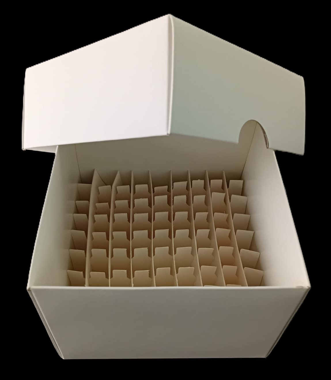 2850208 - Cajas para FREEZER de cartón tratado color BLANCO de 125 x 125 x 95-image