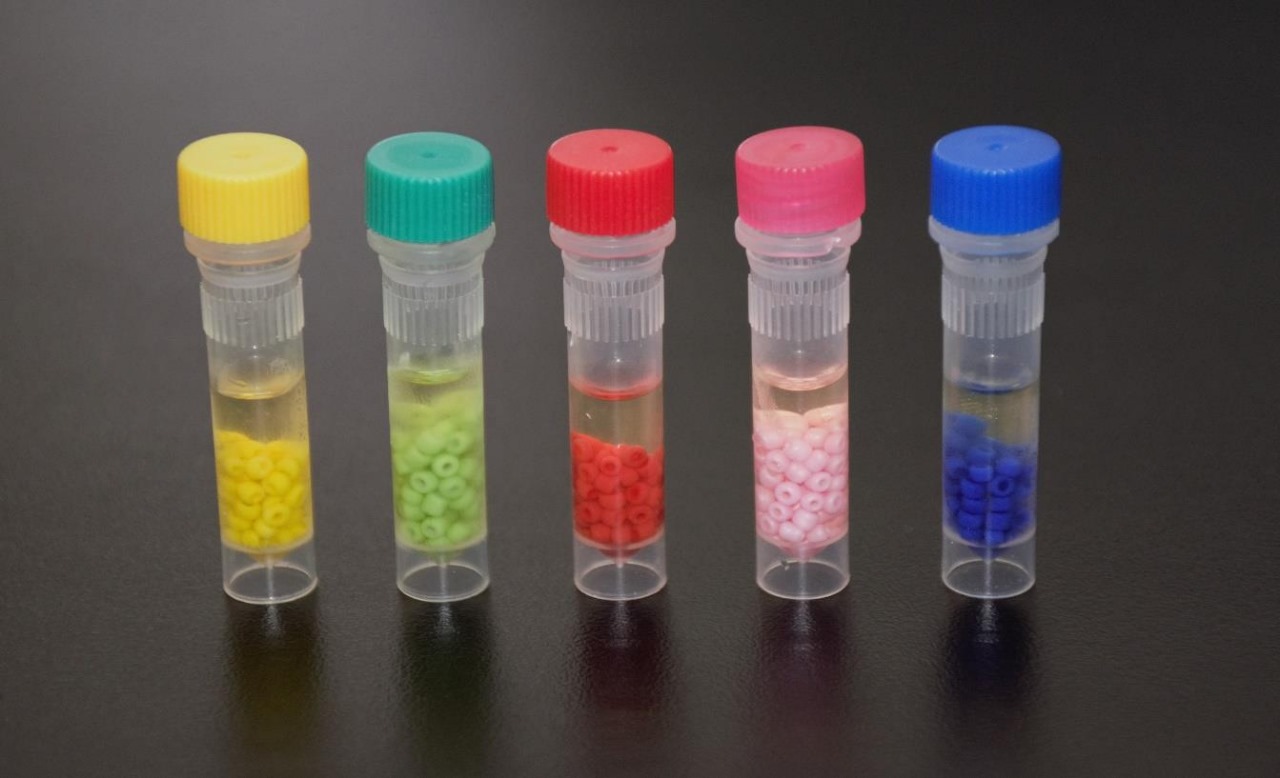 1850106 - Crioperlas MIX DE COLORES para conservación de cepas microbiológicas CRYOINSTANT-image